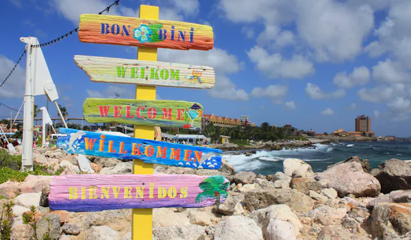 Passionerade experter på kryssningar