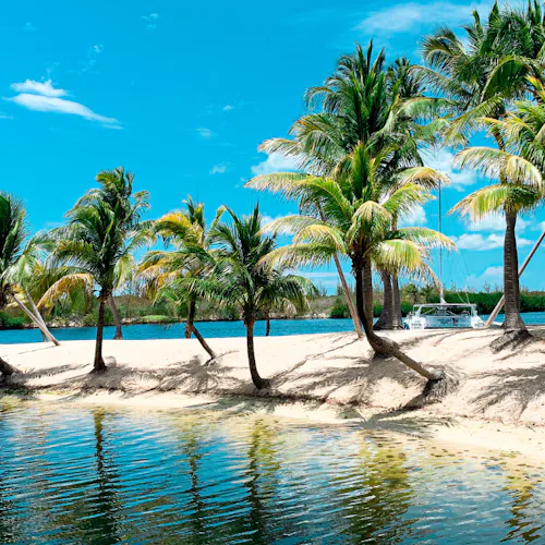 Marknadens bästa utbud