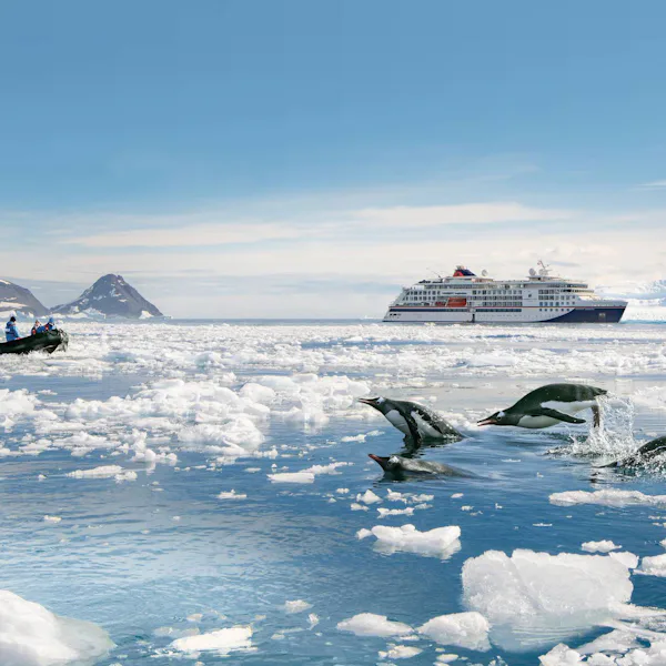 Mellan isberg, pingviner och isbjörnar