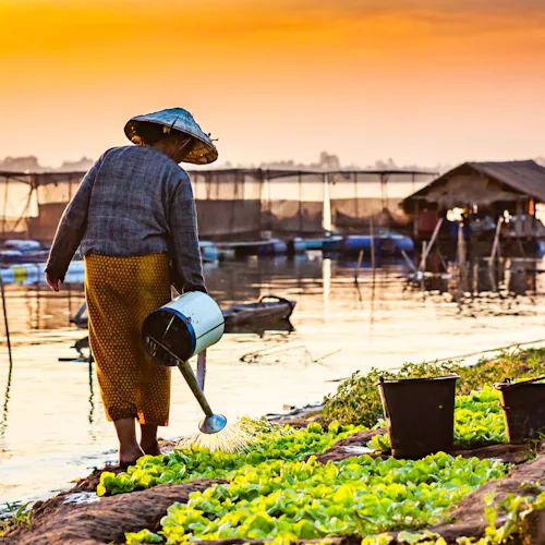 Flodkryssning på Mekong