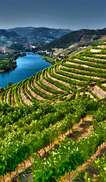 Flodkryssningar i Europa